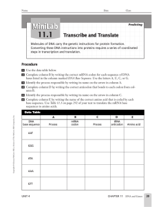 MiniLab 11.1 Transcribe and Translate