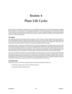 Session 4 Plant Life Cycles