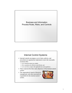 Internal Control Systems Business and Information Process Rules, Risks, and Controls