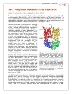 ABC Transporter Architecture and Mechanism