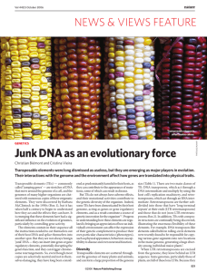 Junk DNA as an evolutionary force NEWS &amp; VIEWS FEATURE