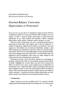 External Balance  Correction: Depreciation or Protection?