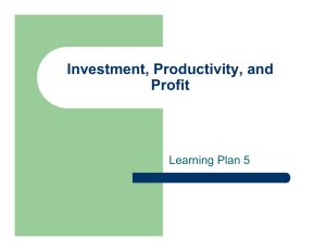 Investment, Productivity, and Profit Learning Plan 5
