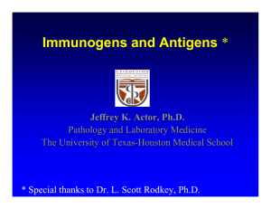 Immunogens and Antigens Jeffrey K. Actor, Ph.D. Pathology and Laboratory Medicine