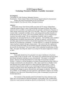 GCEP Progress Report Technology Potential of Biofuels: Feasibility Assessment