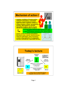 02 Mechanism of action-1