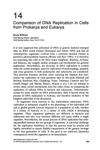 14 Comparison of  DNA Replication in Cells from Prokarya and Eukarya