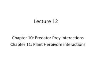 Lecture 12 Chapter 10: Predator Prey interactions Chapter 11: Plant Herbivore interactions