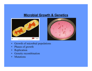 Microbial Growth &amp; Genetics • Growth of microbial populations • Replication