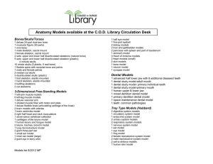 Anatomy Models available at the C.O.D. Library Circulation Desk Bones/Skulls/Torsos