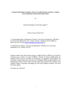 Common information asymmetry factors in syndicated loan structures: evidence