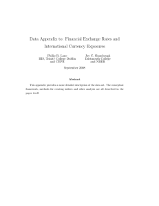 Data Appendix to: Financial Exchange Rates and International Currency Exposures