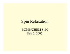 Spin Relaxation BCMB/CHEM 8190 Feb 2, 2005