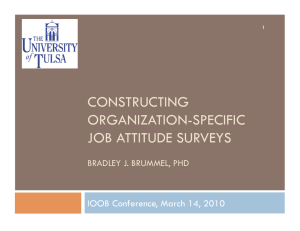 CONSTRUCTING ORGANIZATION-SPECIFIC JOB ATTITUDE SURVEYS IOOB Conference, March 14, 2010