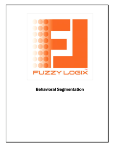 Behavioral Segmentation  TM