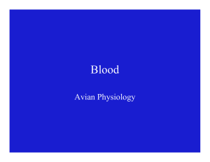 Blood Avian Physiology