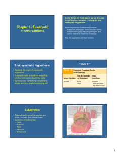 Chapter 5 - Eukaryotic microorganisms the difference between prokaryotic and