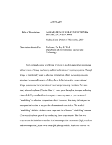 ABSTRACT Title of Dissertation: ALLEVIATION OF SOIL COMPACTION BY