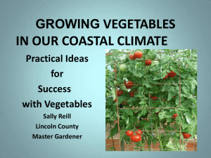 VEGETABLES IN OUR COASTAL CLIMATE GROWING Practical Ideas