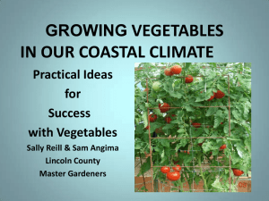 VEGETABLES IN OUR COASTAL CLIMATE GROWING Practical Ideas
