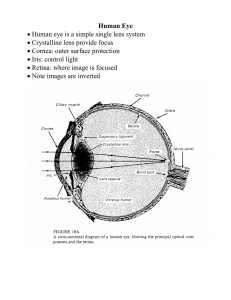 Human Eye • Human eye is a simple single lens system
