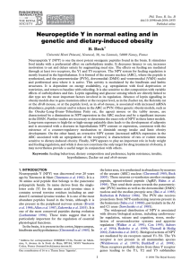 Neuropeptide Y in normal eating and in genetic and dietary-induced obesity