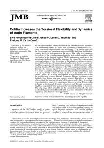 Cofilin Increases the Torsional Flexibility and Dynamics of Actin Filaments Ewa Prochniewicz