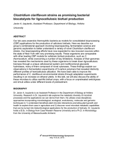 Clostridium clariflavum biocatalysts for lignocellulosic biofuel production