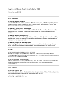 Supplemental Course Descriptions for Spring 2012