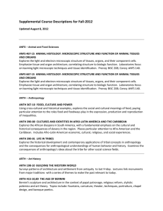 Supplemental Course Descriptions for Fall-2012