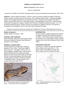 MAMMALS OF MISSISSIPPI 6:1-6 Eastern chipmunk JEAN E. CHERVENAK