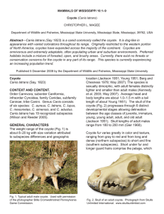 MAMMALS OF MISSISSIPPI 10:1–9 Coyote CHRISTOPHER L. MAGEE