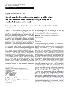 Sexual reproduction and crossing barriers in white pines: the case between