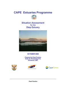 CAPE  Estuaries Programme  Situation Assessment Diep Estuary