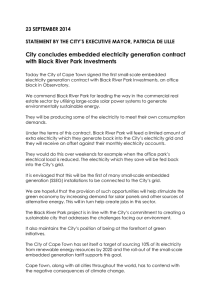 City concludes embedded electricity generation contract with Black River Park Investments