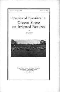 Studies of Parasites in Oregon Sheep Irrigated Pastures on