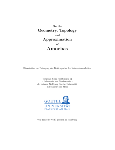 Amoebas Geometry, Topology Approximation On the