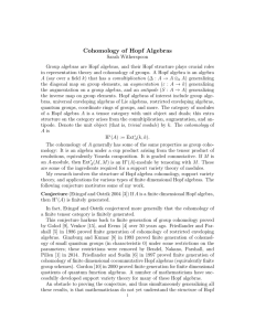 Cohomology of Hopf Algebras