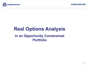 Real Options Analysis In an Opportunity Constrained Portfolio