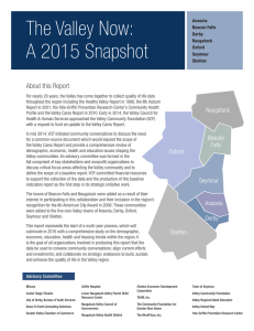 The Valley Now: A 2015 Snapshot About this Report
