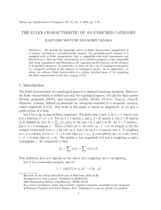 THE EULER CHARACTERISTIC OF AN ENRICHED CATEGORY