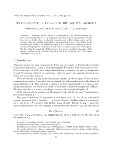 ON THE MAGNITUDE OF A FINITE DIMENSIONAL ALGEBRA