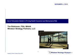 Tim Robinson, FSA, MAAA Windsor Strategy Partners, LLC NOVEMBER 4, 2010