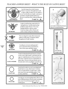 TEACHER ANSWER SHEET - WHAT’S THE BUZZ ON NATIVE BEES? A
