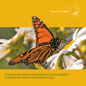 Monarch Butterfly Monitoring in north aMerica: overview of initiatives and Protocols