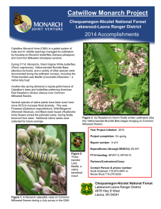 Title text here  Catwillow Monarch Project 2014 Accomplishments