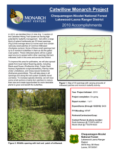 Title text here Catwillow Monarch Project 2010 Accomplishments Chequamegon-Nicolet National Forest