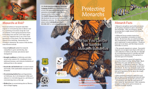 Protecting Monarchs