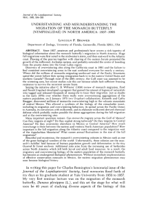 UNDERSTANDING AND MISUNDERSTANDING THE MIGRA nON OF THE MONARCH BUTTERFLY IN P.