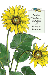 Native Wildflowers and Bees of